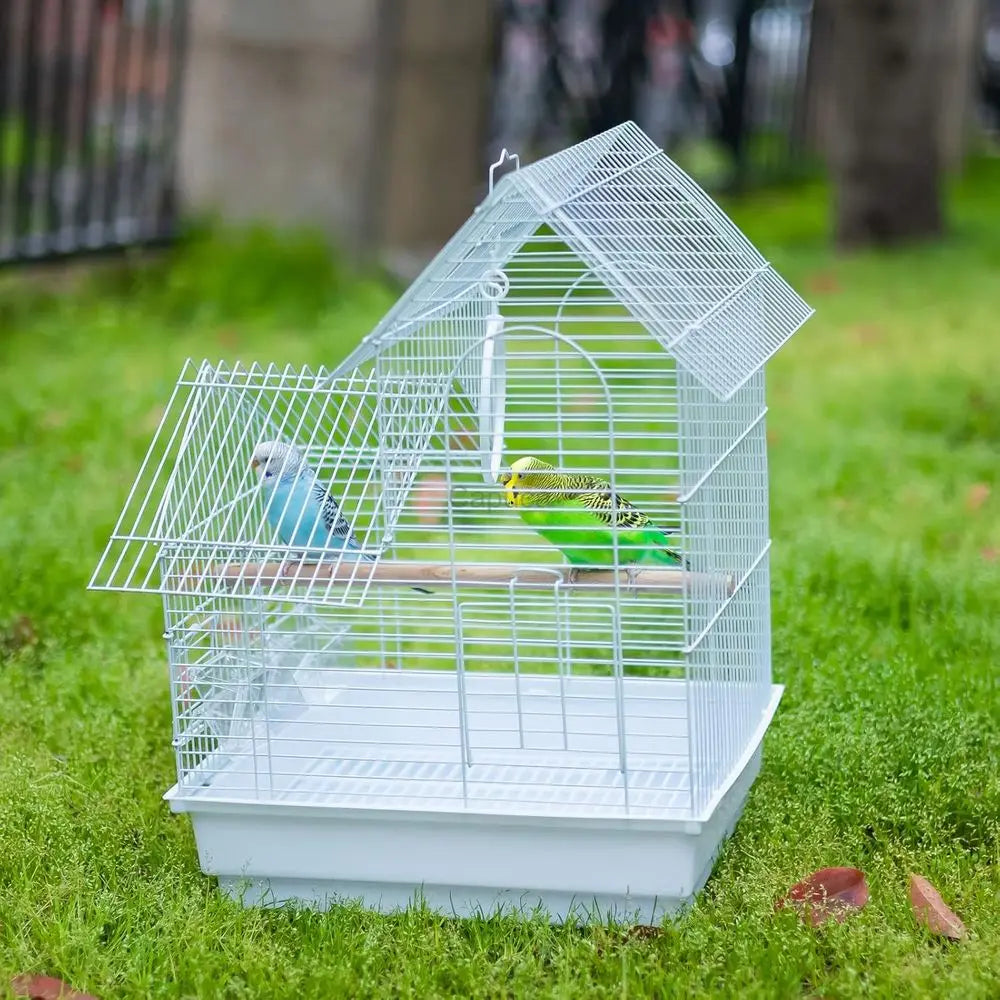 Compact Bird Cage Kit for Small Birds with Accessories - Ideal for Parakeets, Lovebirds, Parrotlets, and Canaries