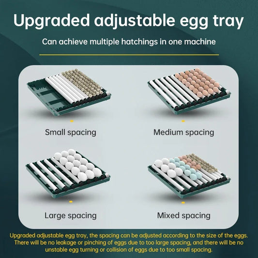 6 Eggs Automatic Incubator with automatic water filling Hydrating Egg Flipping and Temperature Control for Bird,Quail,Geese Egg