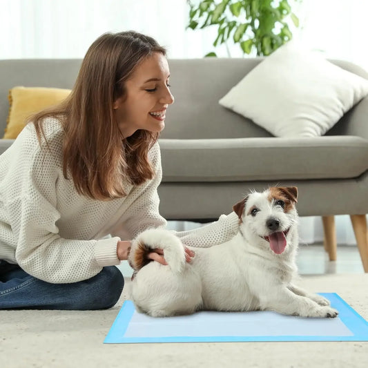 Super Absorbent Waterproof Pet Training Pads, Blue, 50 Pack for Dogs and Puppies