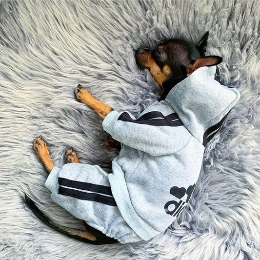 Four Legged Pet Dog Hoodie Puppy Jumpsuit Letters Overalls for Small Medium Dogs Pomeranian Pajamas Winter Dog Jumpsuit