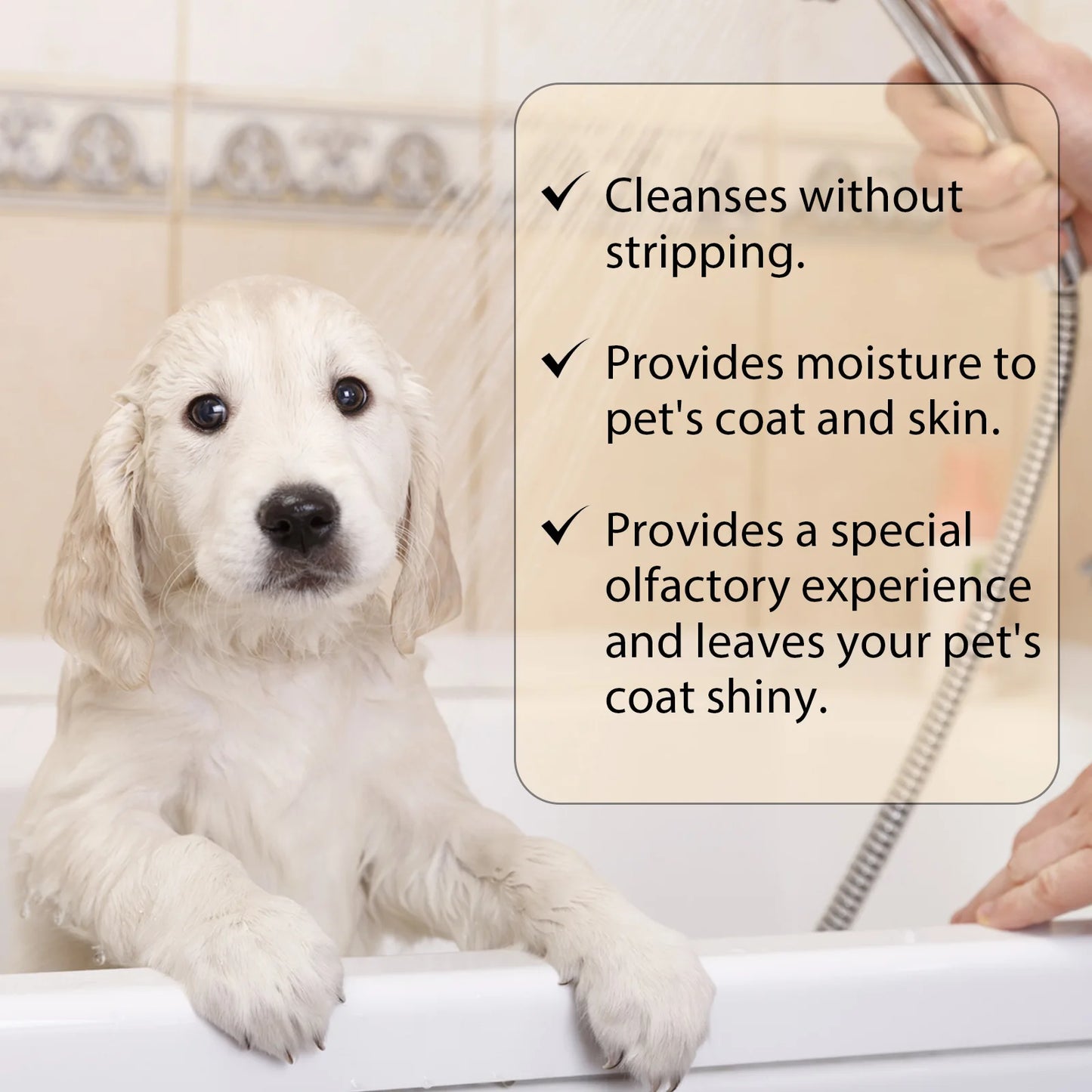 Yegbong Gentle Pet Cleaning Shampoo Mild Remove Dirt Reduce Tangles Restore Shine Smoothing Hair Daily Grooming Care Pet Shampoo