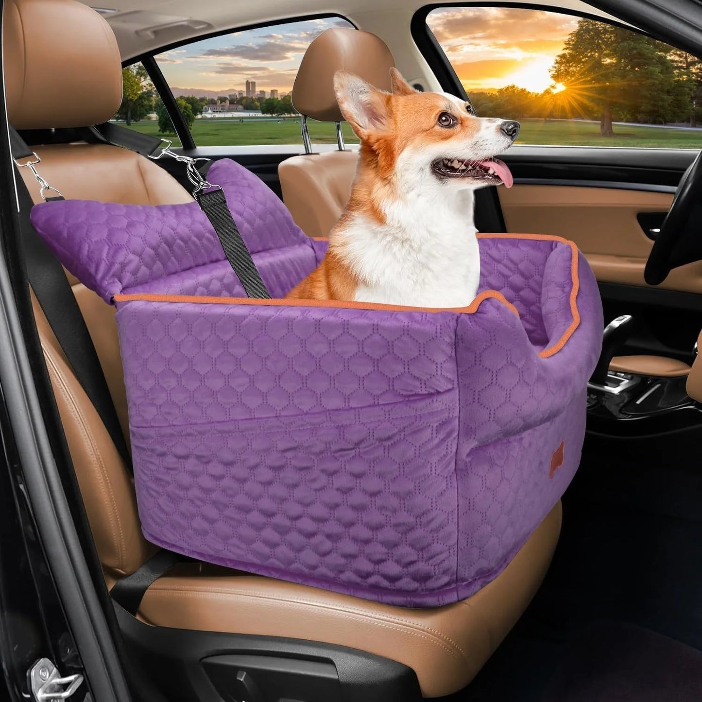 Dog Booster Car Seat for Small Dogs up to 25lbs - Elevated Pet Travel Seat with Removable Washable Bed, Storage Pockets & Dog Se