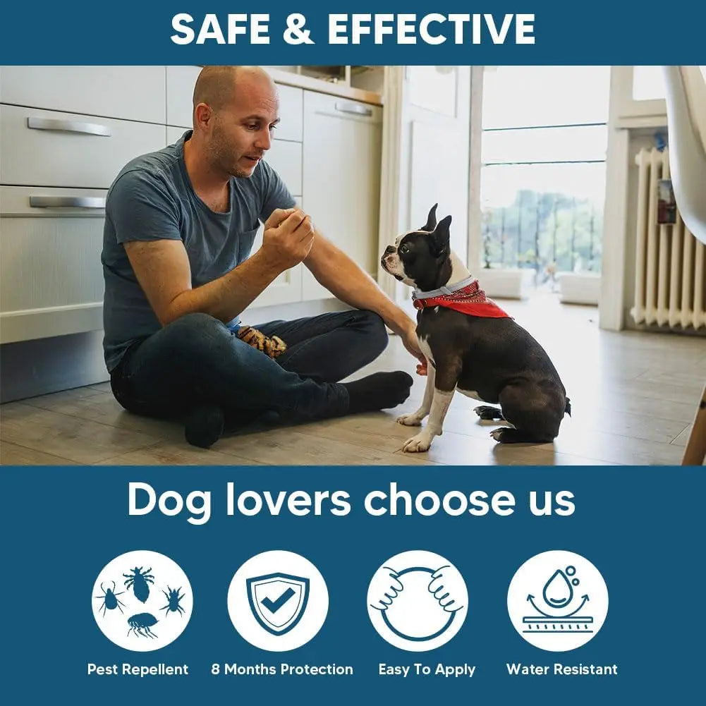 Effective Dog Flea & Tick Collar for Small Dogs, Lasts Up to 8 Months, Easy Application - 2 Pack