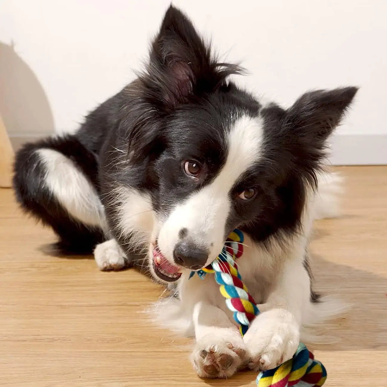 Interactive Tug of War Dog Toy, Braided Cotton Rope for Pulling & Chewing, Bonding Fun with Your Pet