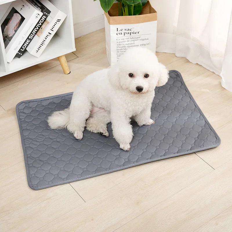 Reusable Dog Pee Pad Blanket Absorbent Diaper Washable Puppy Training Pad Pet Bed Urine Mat for Pet Car Seat Cover