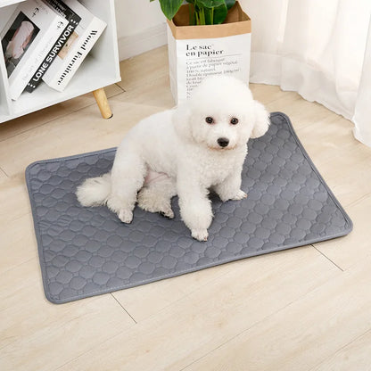 Reusable Dog Pee Pad Blanket Absorbent Diaper Washable Puppy Training Pad Pet Bed Urine Mat for Pet Car Seat Cover