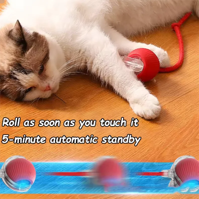 Interactive Self-Play Cat Toys, Automatic Teaser Ball and Rotating Stick, Hands-Free Fun for Kittens