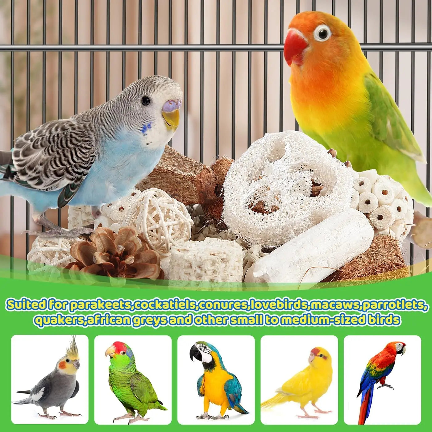 Bird Toys Parrot Toys Natural Bird Foraging Box Foot for Parakeets,Cockatiels,Conures,Love Birds,and Other Small to Medium Birds