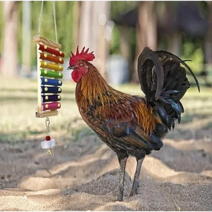 Colorful Bird Xylophone Toy Parrots Chicken Toys Bird Cage Toy Accessories