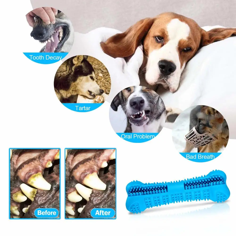 Soft Rubber Dog Toothbrushes Puppy Toys Dog Brush Stick 360 Degree Teeth Cleaning Toothpaste for Small Dogs