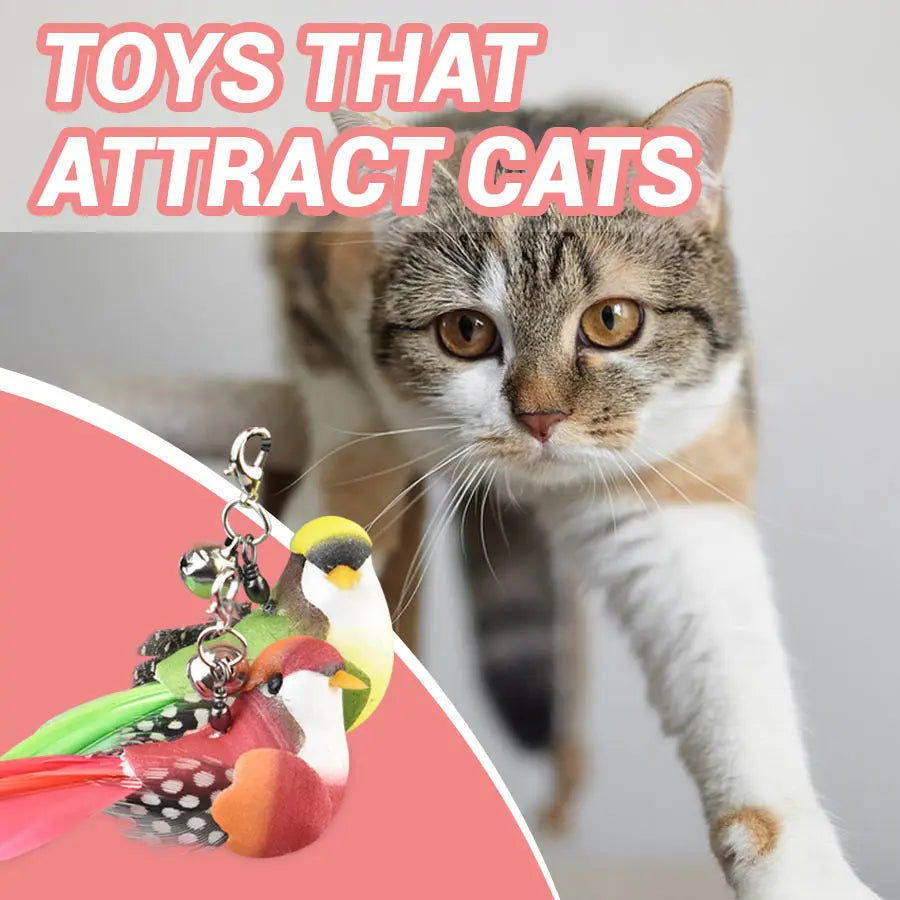 Interactive Bird Cat Toy Replacement Head, Plastic Chew-Proof Kitten Teaser Refill, Green Red Durable Cat Playing Accessories