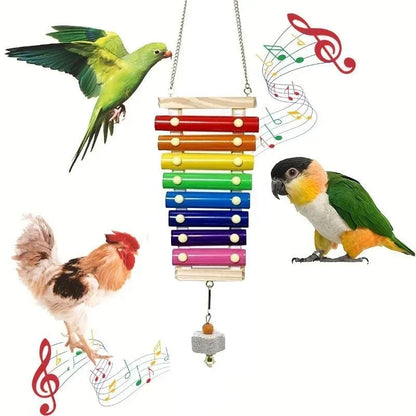 Colorful Bird Xylophone Toy Parrots Chicken Toys Bird Cage Toy Accessories