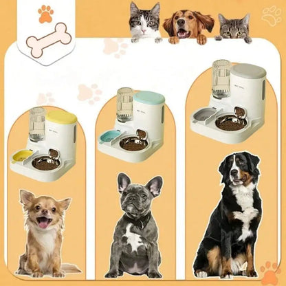 Two-In-One Automatic Cat Water Dispenser Set-Detachable, Washable, Automatic Feeding Station, Indoor Cat Food Bowl