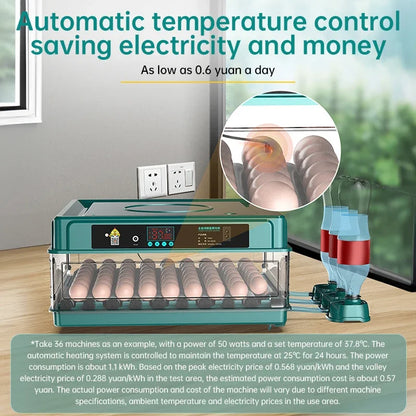 6 Eggs Automatic Incubator with automatic water filling Hydrating Egg Flipping and Temperature Control for Bird,Quail,Geese Egg