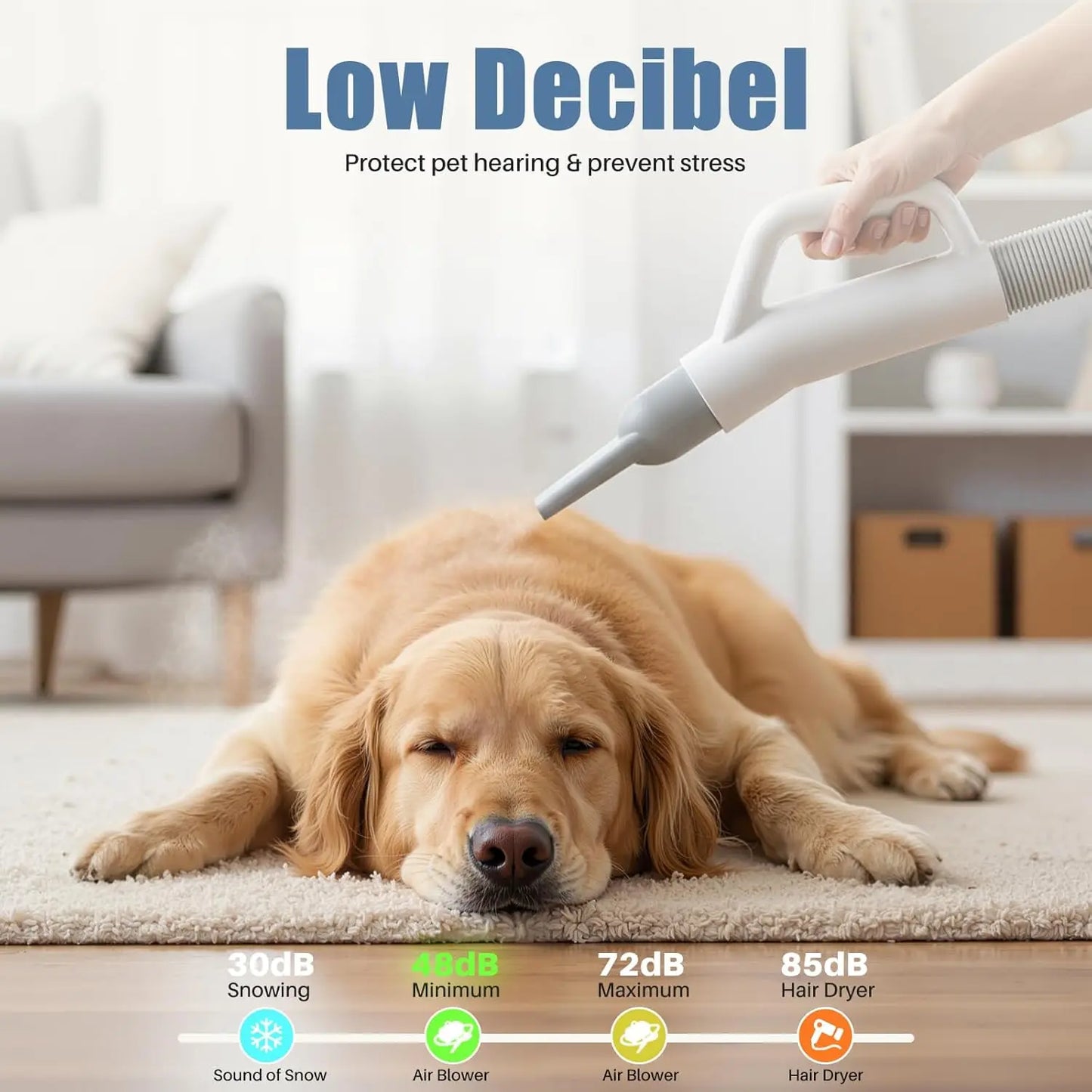 1550W High Velocity Pet Hair Dryer with Adjustable Speed & Temperature, Includes 4 Nozzles for Efficient Dog Grooming
