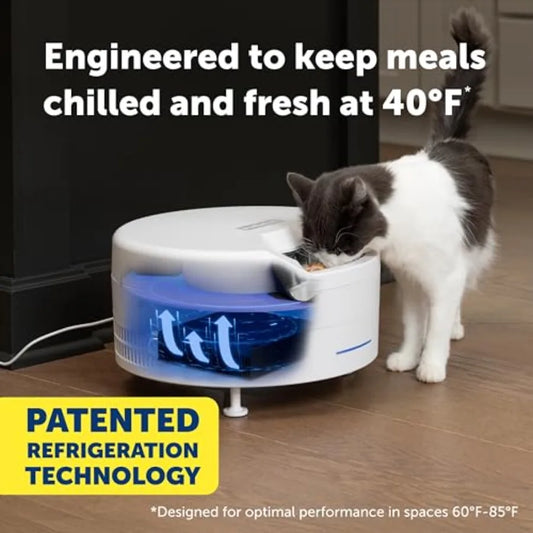 Automatic wet food feeder for cats small dogs with app control stainless steel inserts white 6 fresh meals refrigerated storage