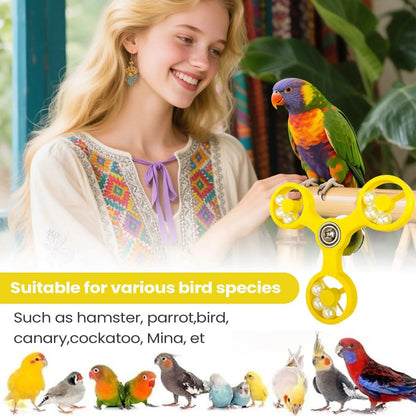 Bird Toys Interactive Rotating Spinner Wheel Cage Accessories for Cockatiel Conure Parakeet Budgie Parrot Mental Enrichment Play