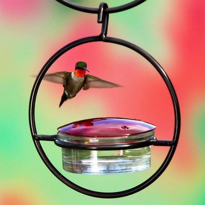 Hummingbird Drinker Feeder Attract Birds Bird Feeder Ant Bee Proof with Red Glass Bowl for Outside Garden Backyard Patio Deck