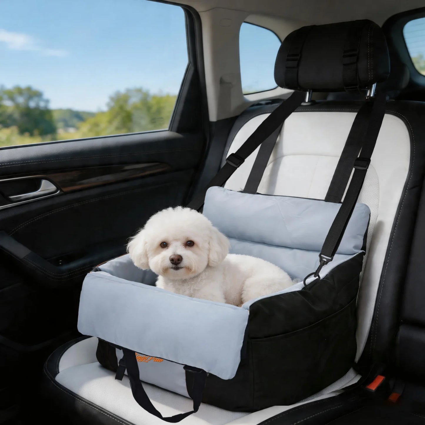 Dog Car Seat for Small Dogs Washable Pet Booster with Safety Belt Puppy Travel Carrier Bed Black/Green up to 22 lbs