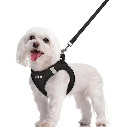 Soft Lightweight Dog Harness & Leash Set, Breathable Mesh Reflective Pet Vest for Daily Walking