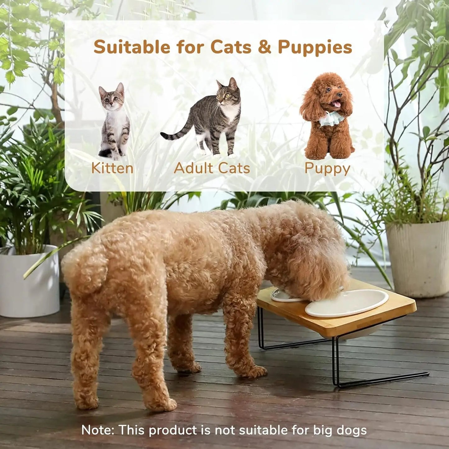 Elevated Cat Ceramic Bowls,15° Tilted Raised Food Feeding Dishes, Solid Bamboo Water Stand Feeder Set for Cats and Puppy