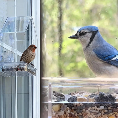 Acrylic Bird Feeder Clear Window Outside with Suction Cup for Garden Outdoor Backyard Wildlife Birding