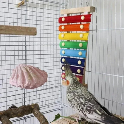 Colorful Bird Xylophone Toy Parrots Chicken Toys Bird Cage Toy Accessories