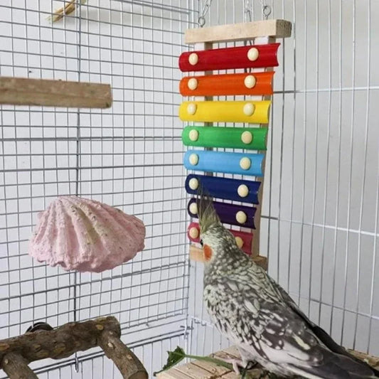Colorful Bird Xylophone Toy Parrots Chicken Toys Bird Cage Toy Accessories