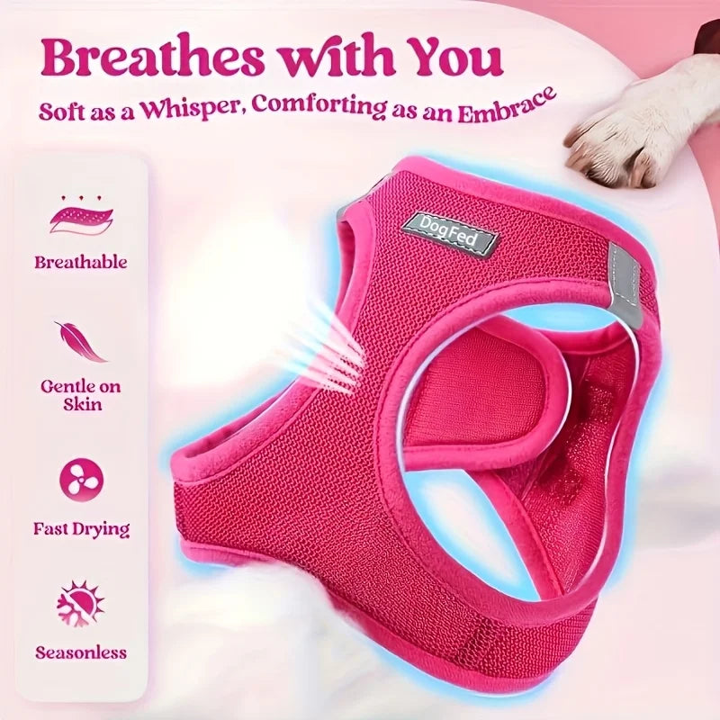 Soft Lightweight Dog Harness & Leash Set, Breathable Mesh Reflective Pet Vest for Daily Walking