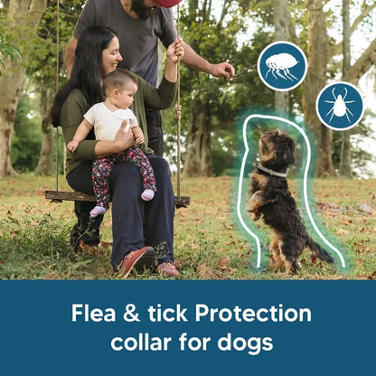 Effective Dog Flea & Tick Collar for Small Dogs, Lasts Up to 8 Months, Easy Application - 2 Pack