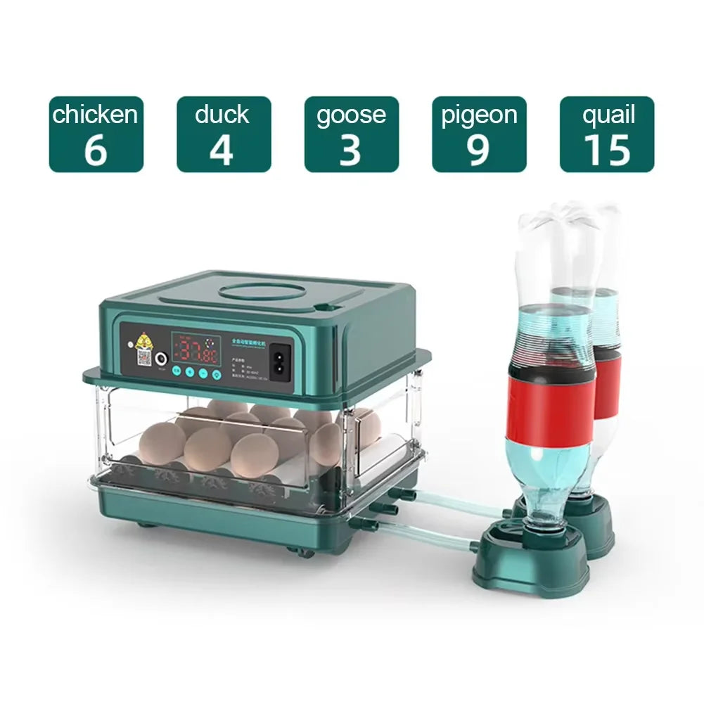 6 Eggs Automatic Incubator with automatic water filling Hydrating Egg Flipping and Temperature Control for Bird,Quail,Geese Egg