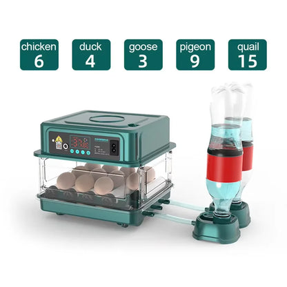 6 Eggs 220V Automatic Intelligent Egg Incubator Temperature Control Chicken Hatcher Chick Incubator for Quail Chicken Use Pigeon