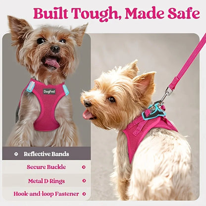 Soft Lightweight Dog Harness & Leash Set, Breathable Mesh Reflective Pet Vest for Daily Walking
