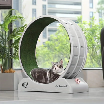 1Pc Indoor Assembly, Cat Roller Treadmill,Silent Fitness Cat Running Wheel With Carpeted Runway