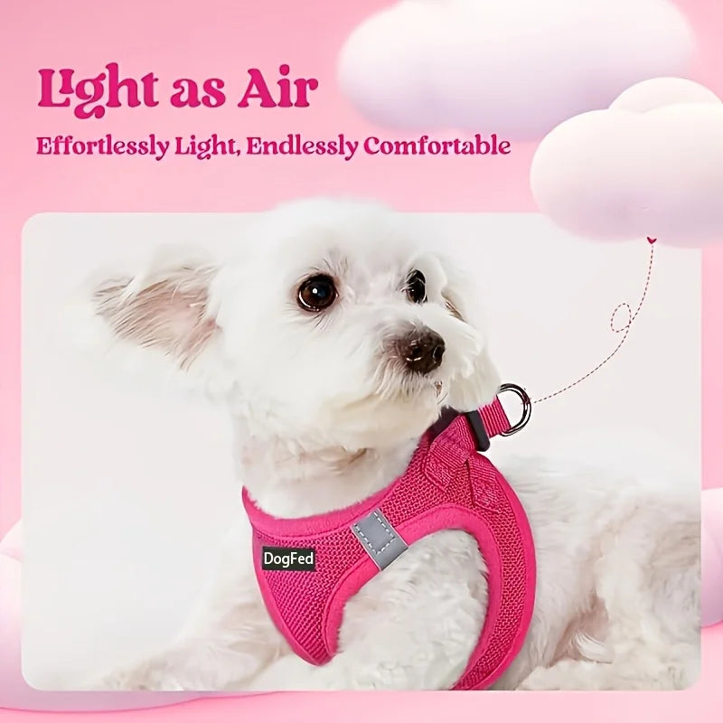 Soft Lightweight Dog Harness & Leash Set, Breathable Mesh Reflective Pet Vest for Daily Walking