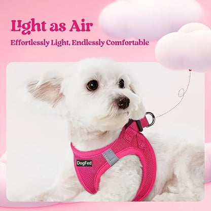 Soft Lightweight Dog Harness & Leash Set, Breathable Mesh Reflective Pet Vest for Daily Walking