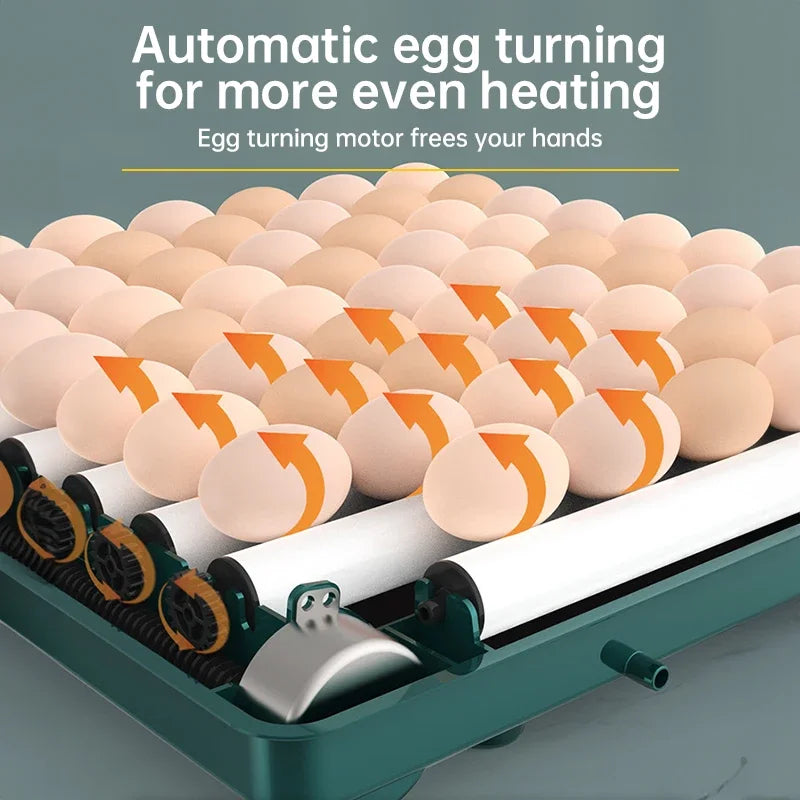 6 Eggs 220V Automatic Intelligent Egg Incubator Temperature Control Chicken Hatcher Chick Incubator for Quail Chicken Use Pigeon