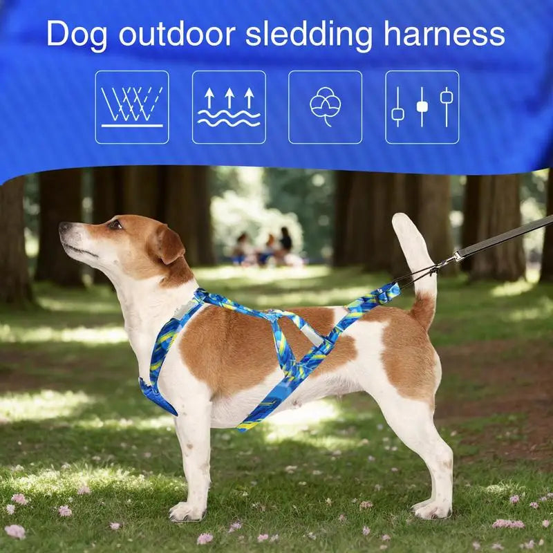 Dog Running Harness Sport Work Out Bikejoring Skijoring Speed Training Dog Pulling Harness Sled Harness