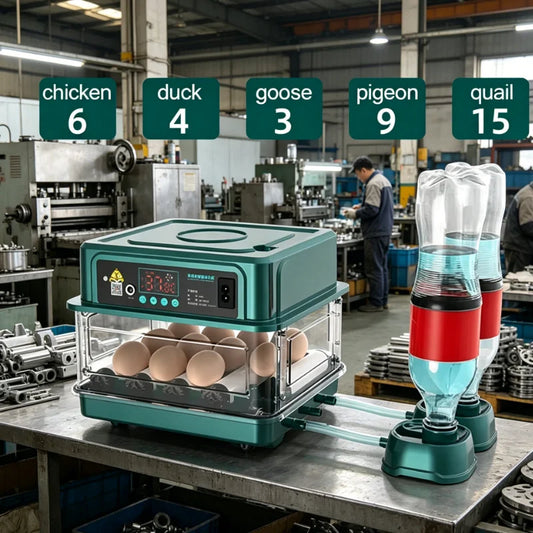 6 Eggs 220V Automatic Intelligent Egg Incubator Temperature Control Chicken Hatcher Chick Incubator for Quail Chicken Use Pigeon