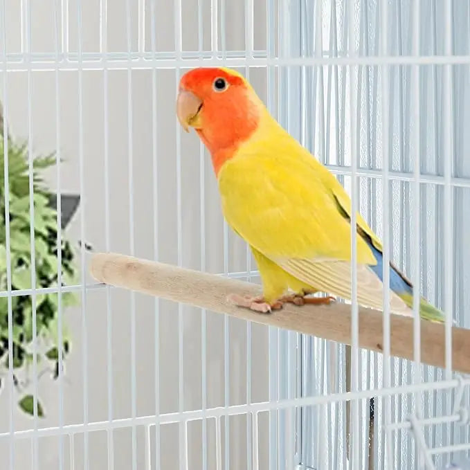 Pet Products Parrot Playstand with Wheels, Bird Cage Stand Activity Play Center with Perches and Ladders,Playground for Birds