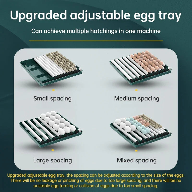 6 Eggs Automatic Incubator with automatic water filling Hydrating Egg Flipping and Temperature Control for Bird,Quail,Geese Egg