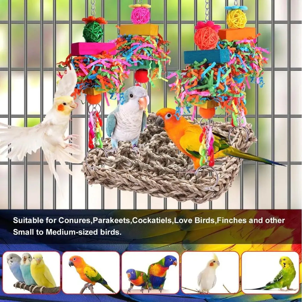 Colorful Bird Toys and Accessories for Conure, Lovebirds, Cockatiels, Budgies, and Small Birds
