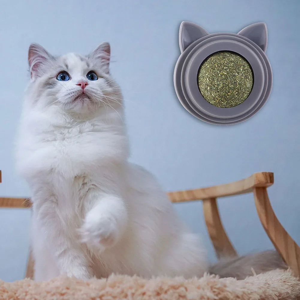 Rotatable Cat Cleaning Toy Self-Adhesive Catnip Energy Ball with Transparent Cover