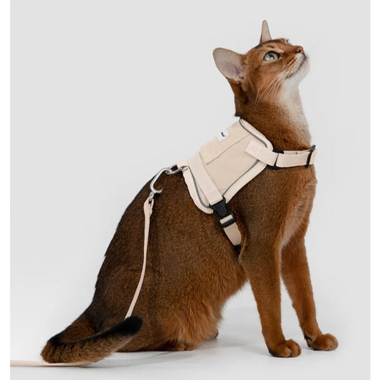 Anti-Escape Cat Vest Harness 39g, GPS Tracker Pocket, Breathable Mesh, Reflective, 130cm Leash for Walking,