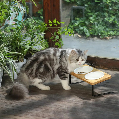 Elevated Cat Ceramic Bowls,15° Tilted Raised Food Feeding Dishes, Solid Bamboo Water Stand Feeder Set for Cats and Puppy
