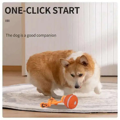 Smart Dog Toys Interactive Teasing Ball With Motion Activated Automatic Moving Squeaky Dog Toy Balls Puppy Chew Toys Knot Rope