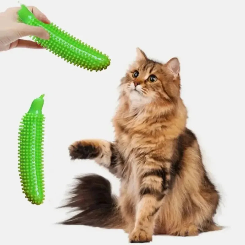 Dog Teeth Grinding Stick Cucumber Shape  Bite Resistant TPE Dog Chew Toy Wear Resistant Pet Molar Stick Teeth Cleaning