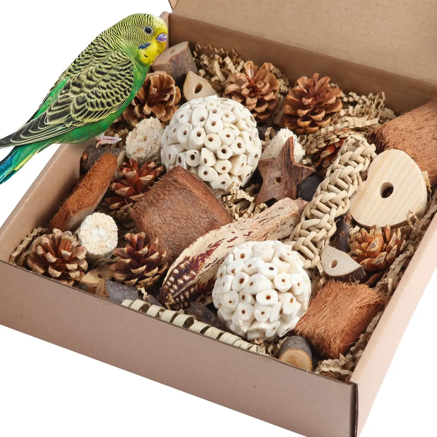 Bird Toys Parrot Toys Natural Bird Foraging Box Foot for Parakeets,Cockatiels,Conures,Love Birds,and Other Small to Medium Birds