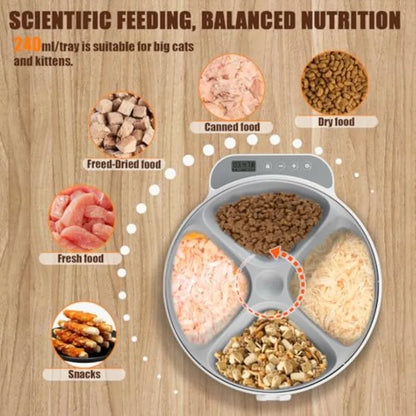 Automatic Wet Food Cat Dog Feeder Auto Refrigerated Wet Foods 4 Meal Timed Fresh Foods Dispenser with 2 Ice Pa