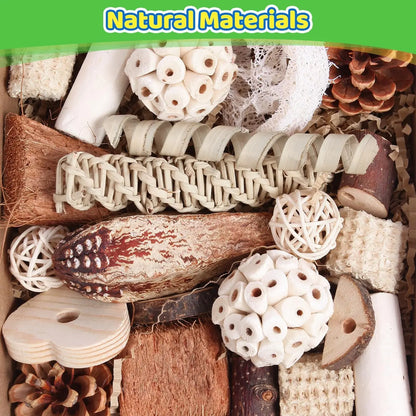 Bird Toys Parrot Toys Natural Bird Foraging Box Foot for Parakeets,Cockatiels,Conures,Love Birds,and Other Small to Medium Birds